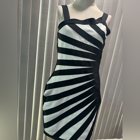 SALE🌸AMTIOUS zebra print dress 🍒 - Picture 9 of 9